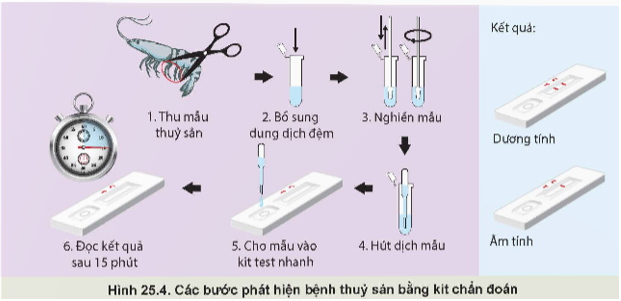 Lý thuyết Công nghệ 12 Kết nối tri thức Bài 25: Ứng dụng công nghệ sinh học trong phòng, trị bệnh thuỷ sản | Lâm nghiệp Thủy sản 12