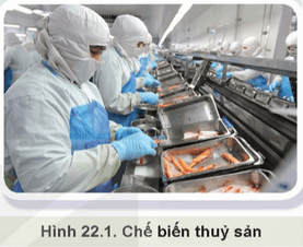 Vì sao cần phải bảo quản, chế biến sản phẩm thủy sản (Hình 22.1)?