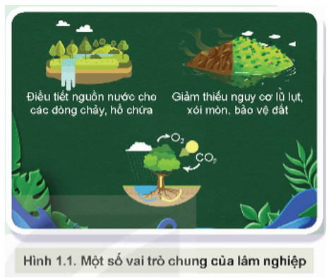 Quan sát Hình 1.1 và cho biết lâm nghiệp có vai trò như thế nào đối với đời sống