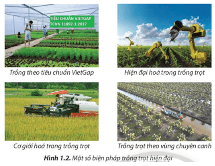 Những biện pháp được minh họa ở Hình 1.2 giúp lĩnh vực trồng trọt phát triển như thế nào?