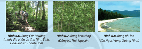 Hãy cho biết mục đích sử dụng các loại rừng rừng thể hiện ở Hình 6.6, 6.7 và 6.8