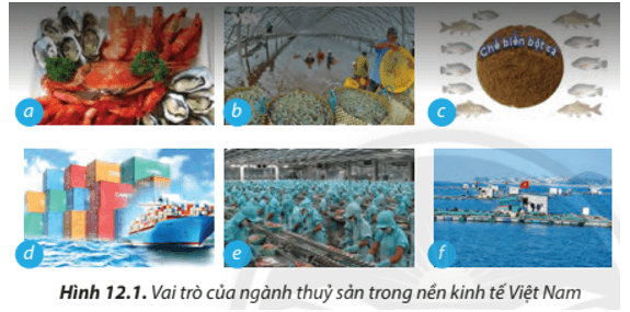 Lý thuyết Công nghệ 7 Chân trời sáng tạo Bài 12: Ngành thuỷ sản ở Việt Nam