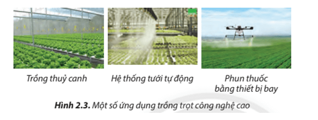 Lý thuyết Công nghệ 7 Chân trời sáng tạo Bài 2: Các phương thức trồng trọt ở Việt Nam