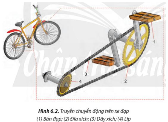 Quan sát Hình 6.2, mô tả quá trình truyền chuyển động đạp xe của con người