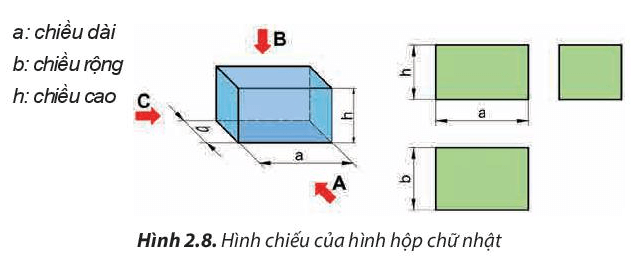 Các hình chiếu của khối đa diện (Hình 2.8) có hình dạng và kích thước như thế nào?