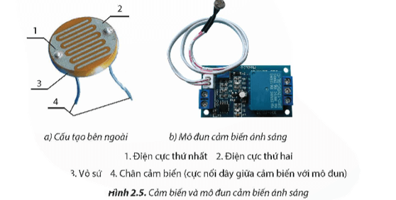 Em hãy mô tả cấu tạp bên ngoài của cảm biến ánh sáng ở Hình 2.5a