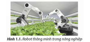Quan sát Hình 1.1 và cho biết vai trò của robot thông minh trong nông nghiệp