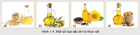 Quan sát Hình 1.4 dưới đây hãy nêu tên một số loại quả và hạt có thể dùng sản xuất dầu ăn