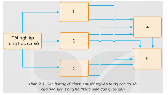 Chọn các phương án A, B,C, D, E phù hợp với các ô đánh số 1, 2, 3, 4, 5 trong Hình 2.3