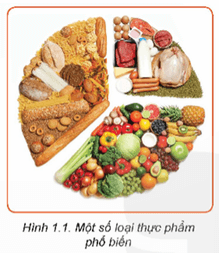 Các loại thực phẩm trong Hình 1.1 được chia thành các nhóm chất dinh dưỡng khác nhau