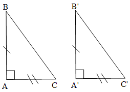 Các trường hợp bằng nhau của tam giác vuông lớp 7 (hay, chi tiết)