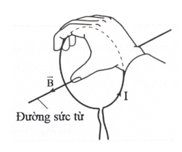 Công thức cảm ứng từ do các dòng điện đặc biệt gây ra lớp 12 (hay, chi tiết)
