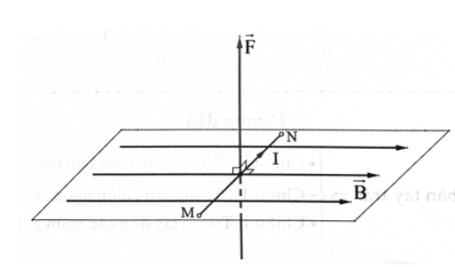 Công thức lực từ lớp 12 (hay, chi tiết)
