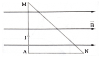 Công thức lực từ lớp 12 (hay, chi tiết)