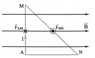 Công thức lực từ lớp 12 (hay, chi tiết)