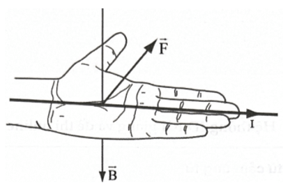 Công thức lực từ lớp 12 (hay, chi tiết)