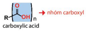 Công thức tính nhanh đồng phân acid lớp 11 (hay, chi tiết) (ảnh 1)