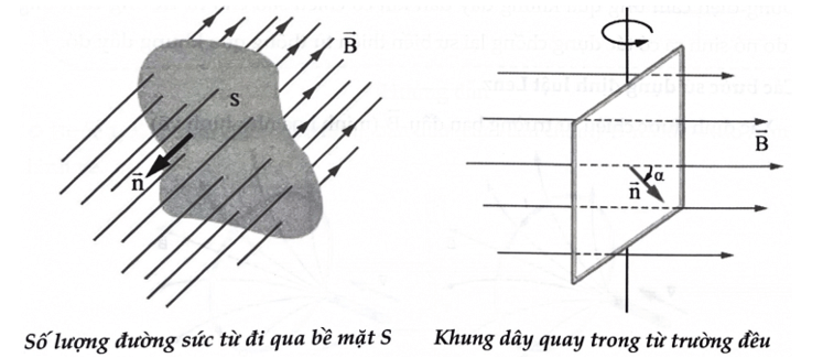 Công thức từ thông lớp 12 (hay, chi tiết)