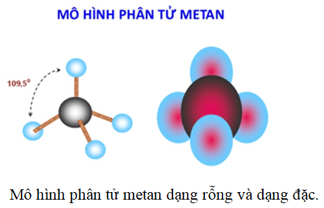 Nêu cấu tạo phân tử của metan