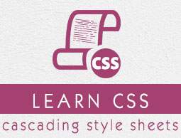 Học CSS cơ bản và nâng cao