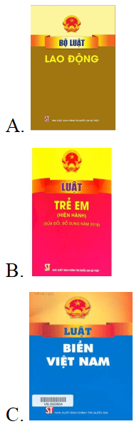 Trắc nghiệm Đạo đức lớp 5 Cánh diều Bài 10 (có đáp án): Em phòng, tránh xâm hại