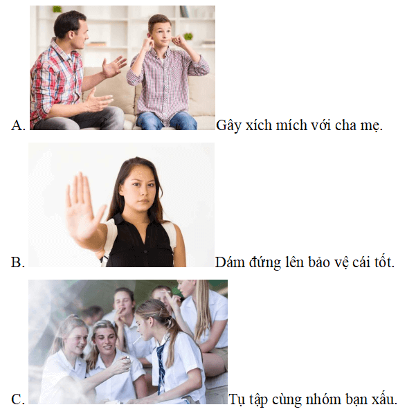 Trắc nghiệm Đạo đức lớp 5 Cánh diều Bài 5 (có đáp án): Em bảo vệ cái đúng, cái tốt