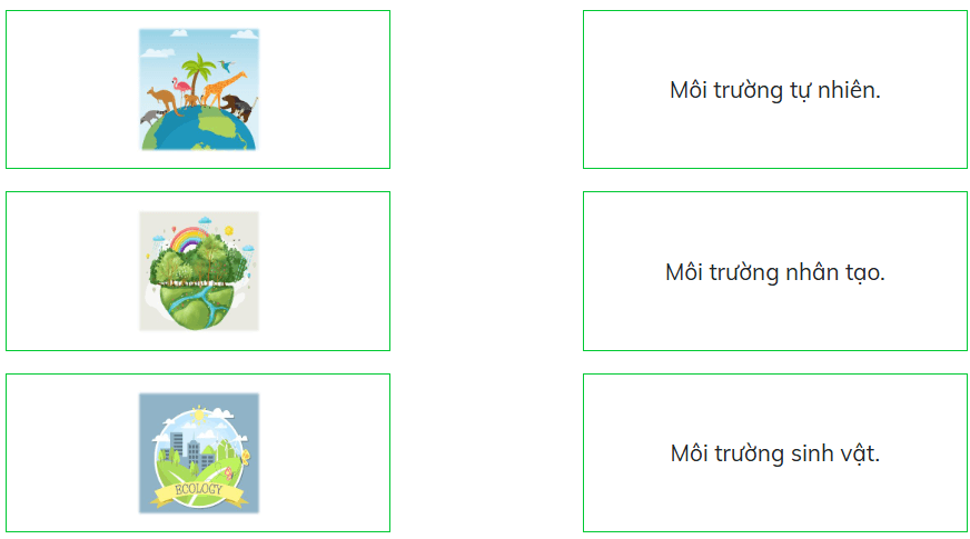 Trắc nghiệm Đạo đức lớp 5 Cánh diều Bài 6 (có đáp án): Môi trường sống quanh em