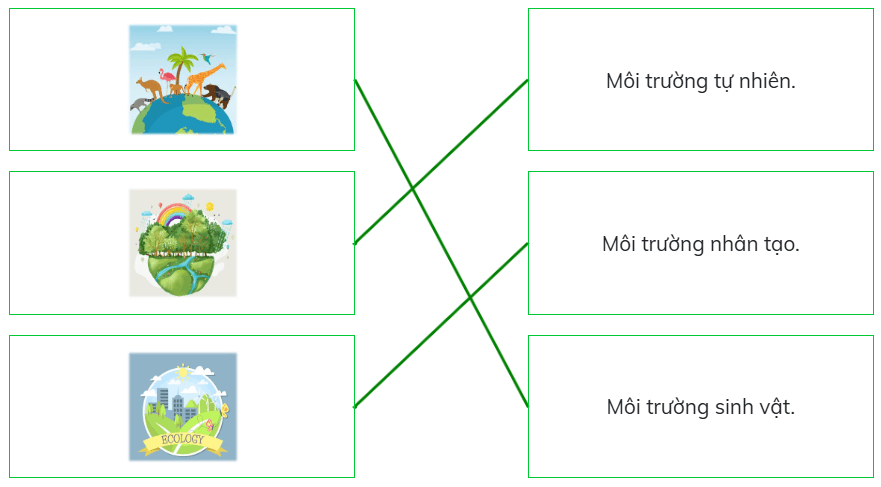 Trắc nghiệm Đạo đức lớp 5 Cánh diều Bài 6 (có đáp án): Môi trường sống quanh em