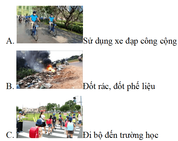 Trắc nghiệm Đạo đức lớp 5 Cánh diều Bài 6 (có đáp án): Môi trường sống quanh em