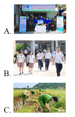 Trắc nghiệm Đạo đức lớp 5 Cánh diều Bài 7 (có đáp án): Em bảo vệ môi trường sống