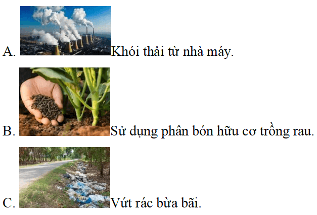 Trắc nghiệm Đạo đức lớp 5 Cánh diều Bài 7 (có đáp án): Em bảo vệ môi trường sống