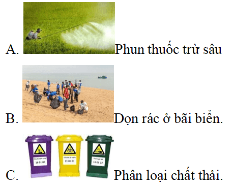 Trắc nghiệm Đạo đức lớp 5 Cánh diều Bài 7 (có đáp án): Em bảo vệ môi trường sống