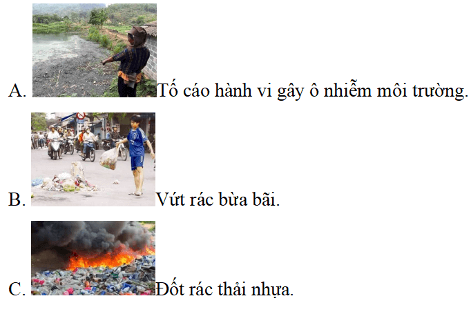 Trắc nghiệm Đạo đức lớp 5 Cánh diều Bài 7 (có đáp án): Em bảo vệ môi trường sống