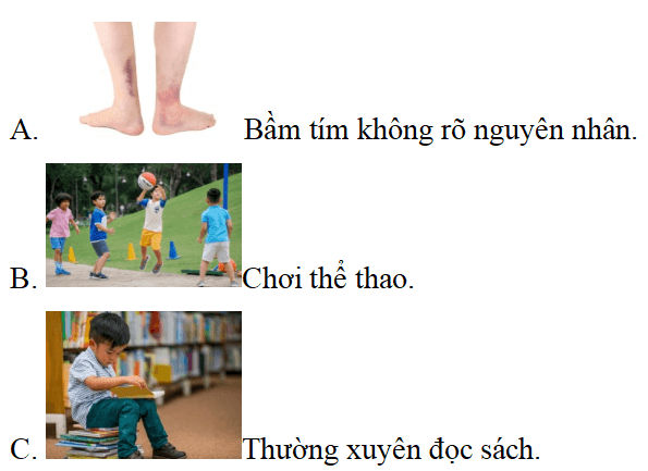 Trắc nghiệm Đạo đức lớp 5 Cánh diều Bài 9 (có đáp án): Em nhận biết biểu hiện xâm hại