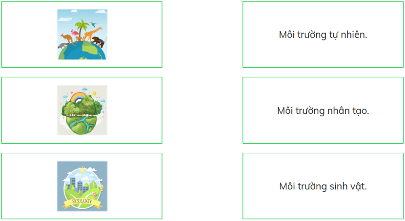 Trắc nghiệm Đạo đức lớp 5 Chân trời sáng tạo Bài 7 (có đáp án): Môi trường sống quanh em (ảnh 5)