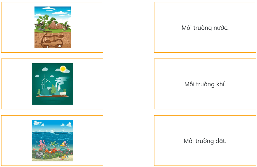 Trắc nghiệm Đạo đức lớp 5 Kết nối tri thức Bài 5 (có đáp án): Bảo vệ môi trường sống