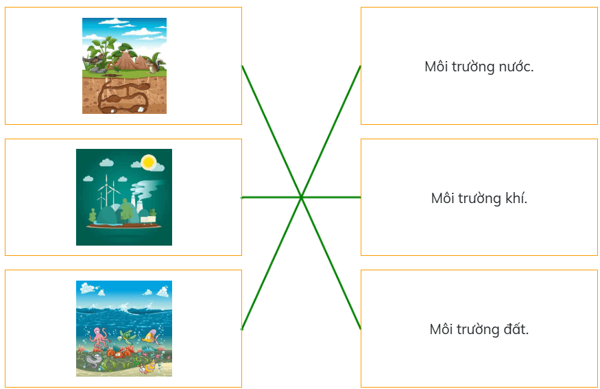 Trắc nghiệm Đạo đức lớp 5 Kết nối tri thức Bài 5 (có đáp án): Bảo vệ môi trường sống