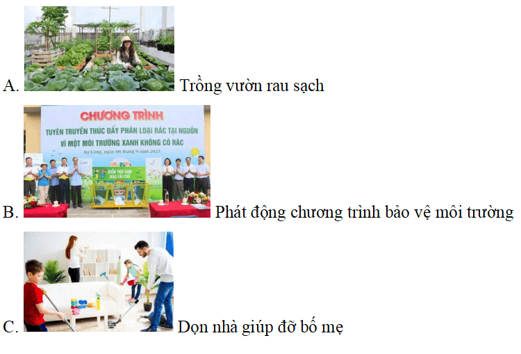 Trắc nghiệm Đạo đức lớp 5 Kết nối tri thức Bài 5 (có đáp án): Bảo vệ môi trường sống