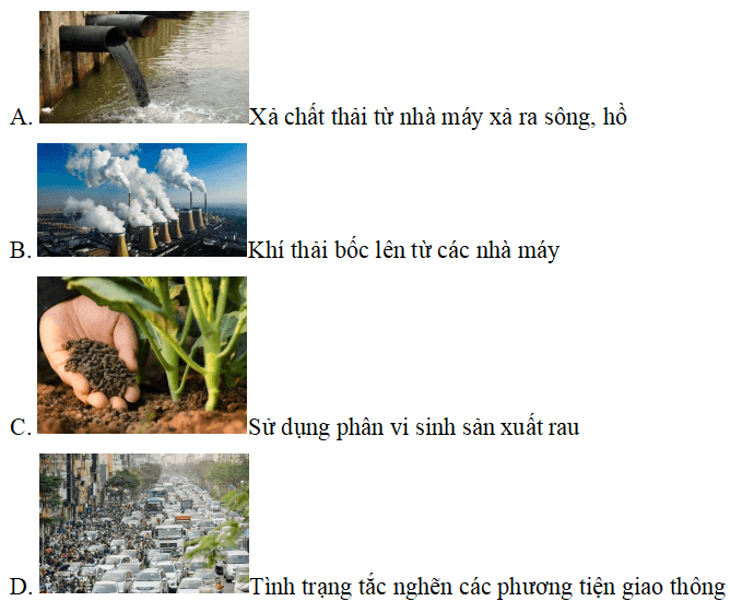 Trắc nghiệm Đạo đức lớp 5 Kết nối tri thức Bài 5 (có đáp án): Bảo vệ môi trường sốngết nối tri thức Bài 5 (có đáp án): Bảo vệ môi trường sống (ảnh 10)