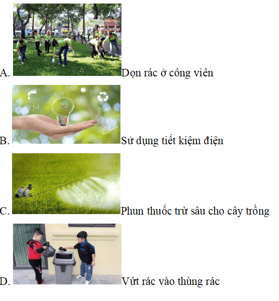 Trắc nghiệm Đạo đức lớp 5 Kết nối tri thức Bài 5 (có đáp án): Bảo vệ môi trường sống