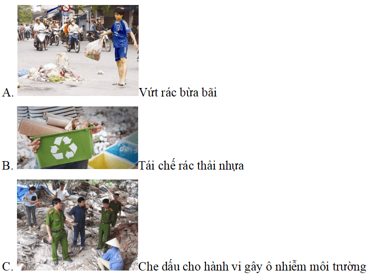 Trắc nghiệm Đạo đức lớp 5 Kết nối tri thức Bài 5 (có đáp án): Bảo vệ môi trường sống