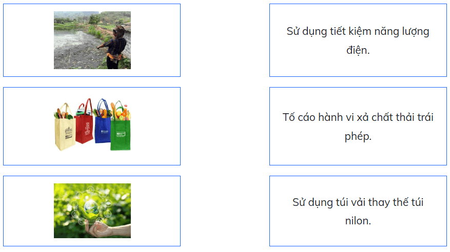Trắc nghiệm Đạo đức lớp 5 Kết nối tri thức Bài 5 (có đáp án): Bảo vệ môi trường sống