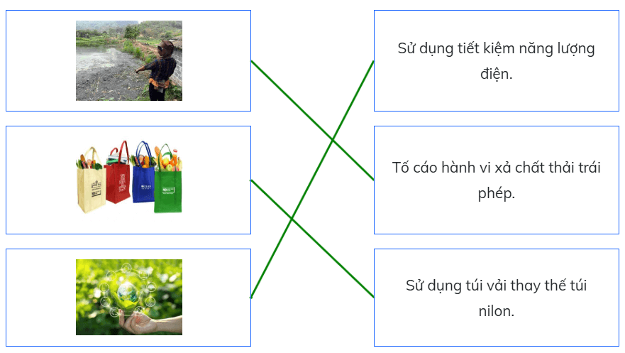 Trắc nghiệm Đạo đức lớp 5 Kết nối tri thức Bài 5 (có đáp án): Bảo vệ môi trường sống