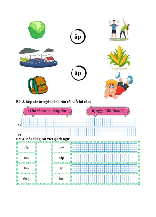 Bài tập hàng ngày Tiếng Việt lớp 1 Bài 53: ap, ăp, âp | Kết nối tri thức