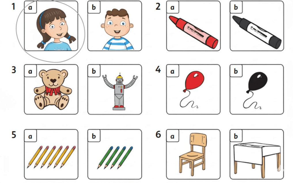 Đề cương ôn tập Học kì 1 Tiếng Anh lớp 1 Family and Friends (có lời giải)