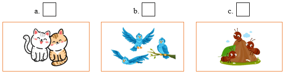 Đề cương ôn tập Học kì 1 Tiếng Anh lớp 1 iLearn Smart Start (có lời giải)