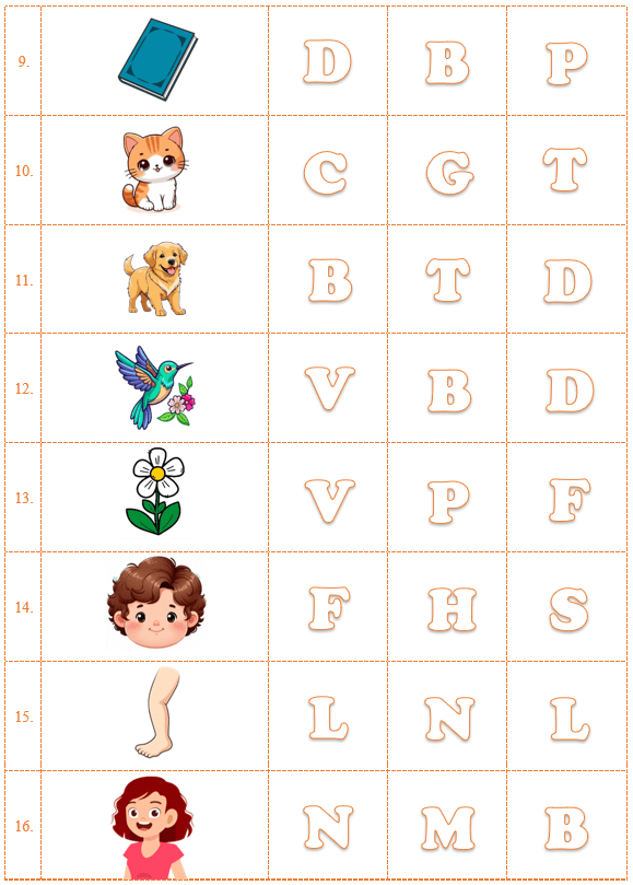 Đề cương ôn tập Học kì 1 Tiếng Anh lớp 1 iLearn Smart Start (có lời giải)