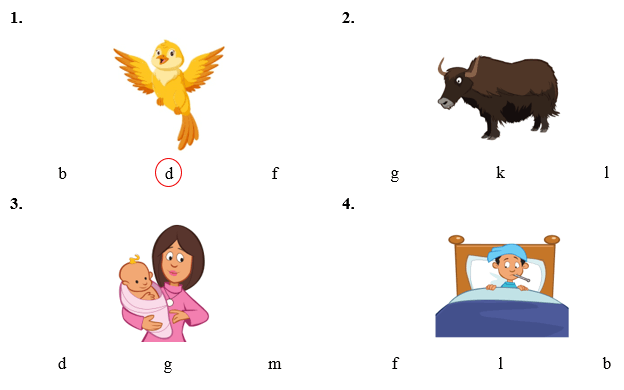 Đề cương ôn tập Học kì 2 Tiếng Anh lớp 1 Family and Friends (có lời giải)