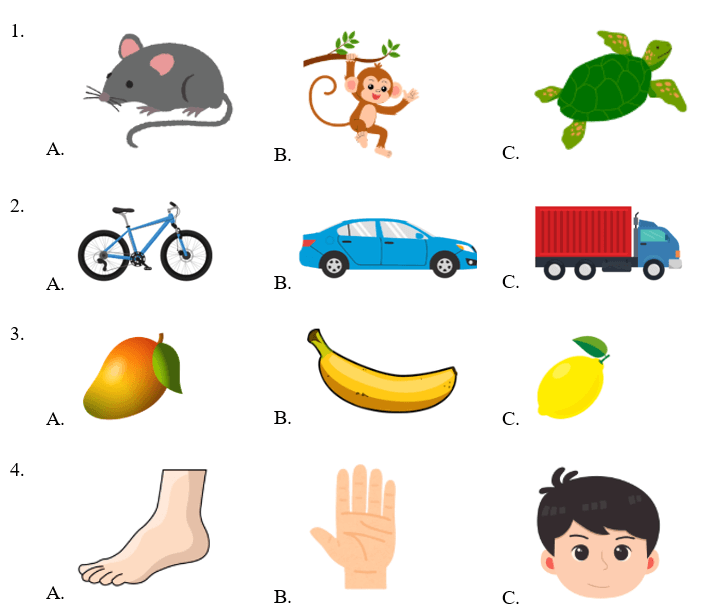 Đề cương ôn tập Học kì 2 Tiếng Anh lớp 1 Global Success (có lời giải)