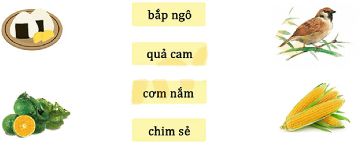 [Năm 2022] Đề thi Giữa kì 1 Tiếng Việt lớp 1 có đáp án (11 đề)
